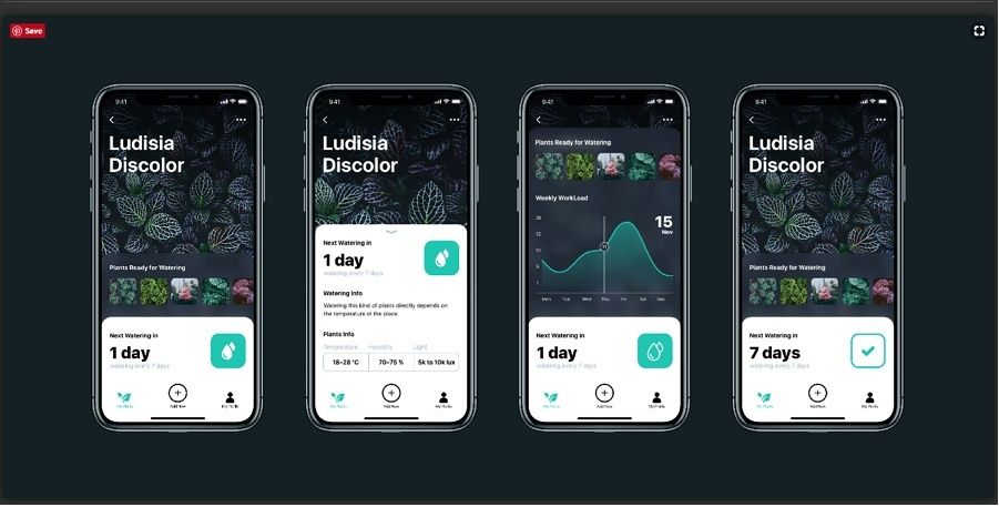 Vier Smartphone-Ansichten mit Pflanzen-App und sichtbarer Bottom-Navigation